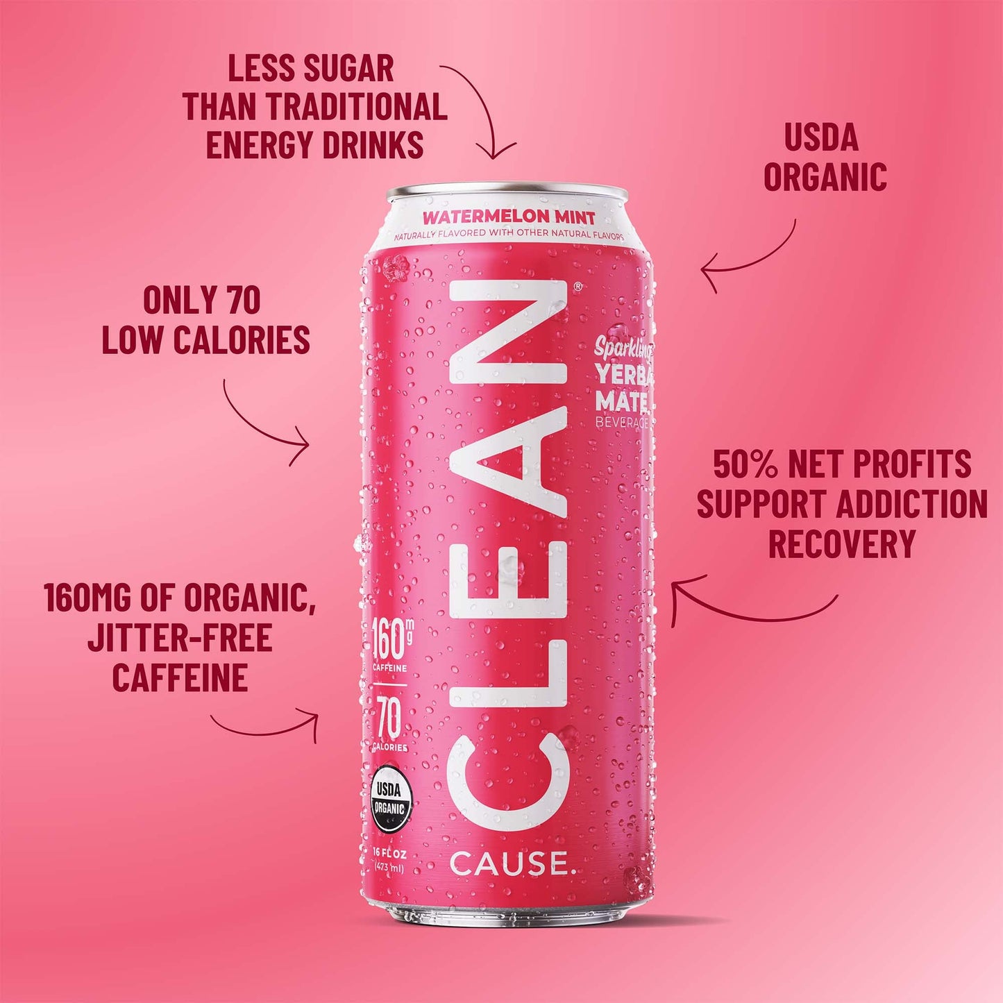 Watermelon Mint Organic Sparkling Yerba Mate - CLEAN CAUSE