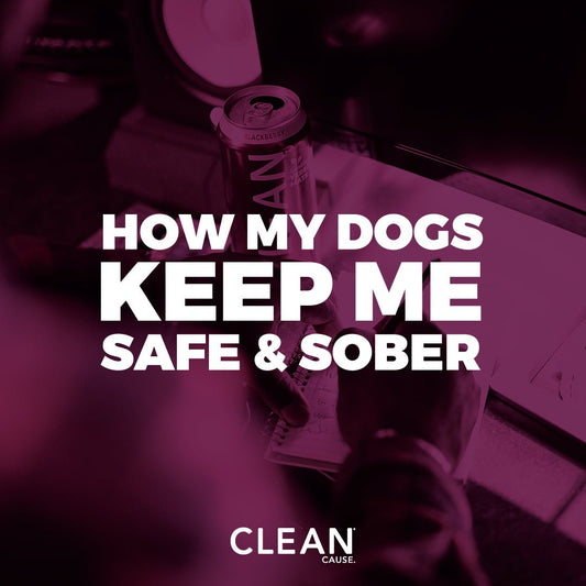 How My Dogs Keep Me Safe and Sober - CLEAN CAUSE