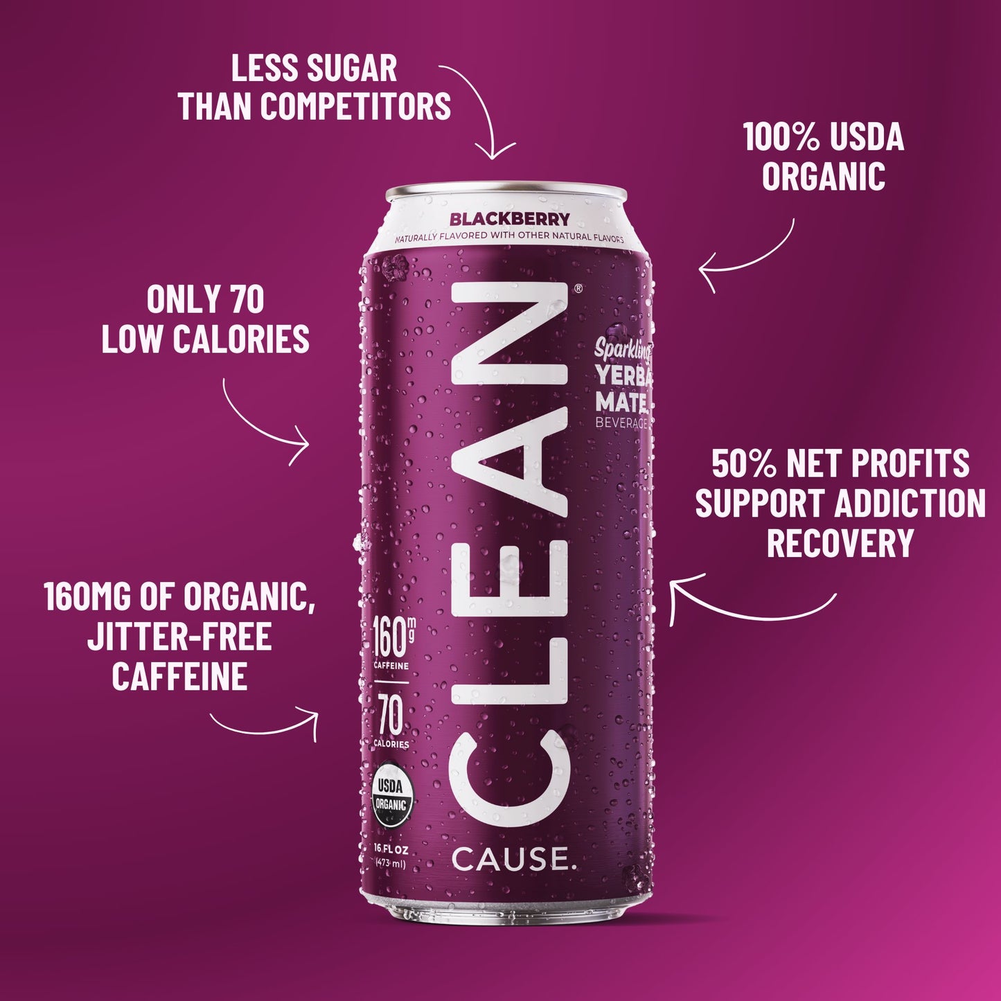 Blackberry Organic Sparkling Yerba Mate - CLEAN CAUSE