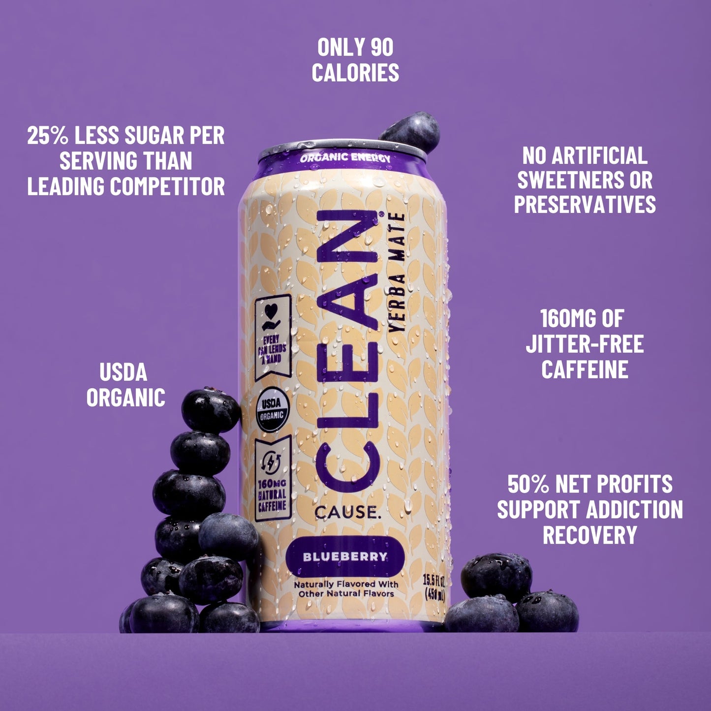 Blueberry Non - Carbonated Organic Yerba Mate - CLEAN Cause