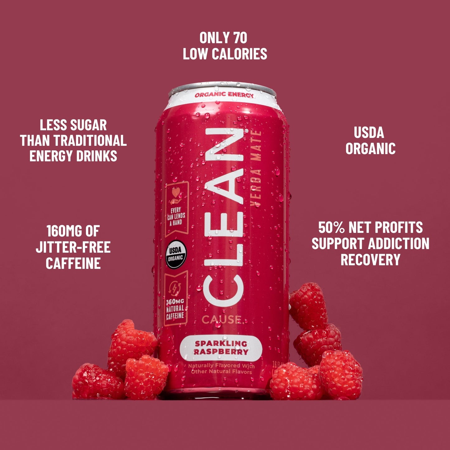 Raspberry Organic Sparkling Yerba Mate - CLEAN Cause