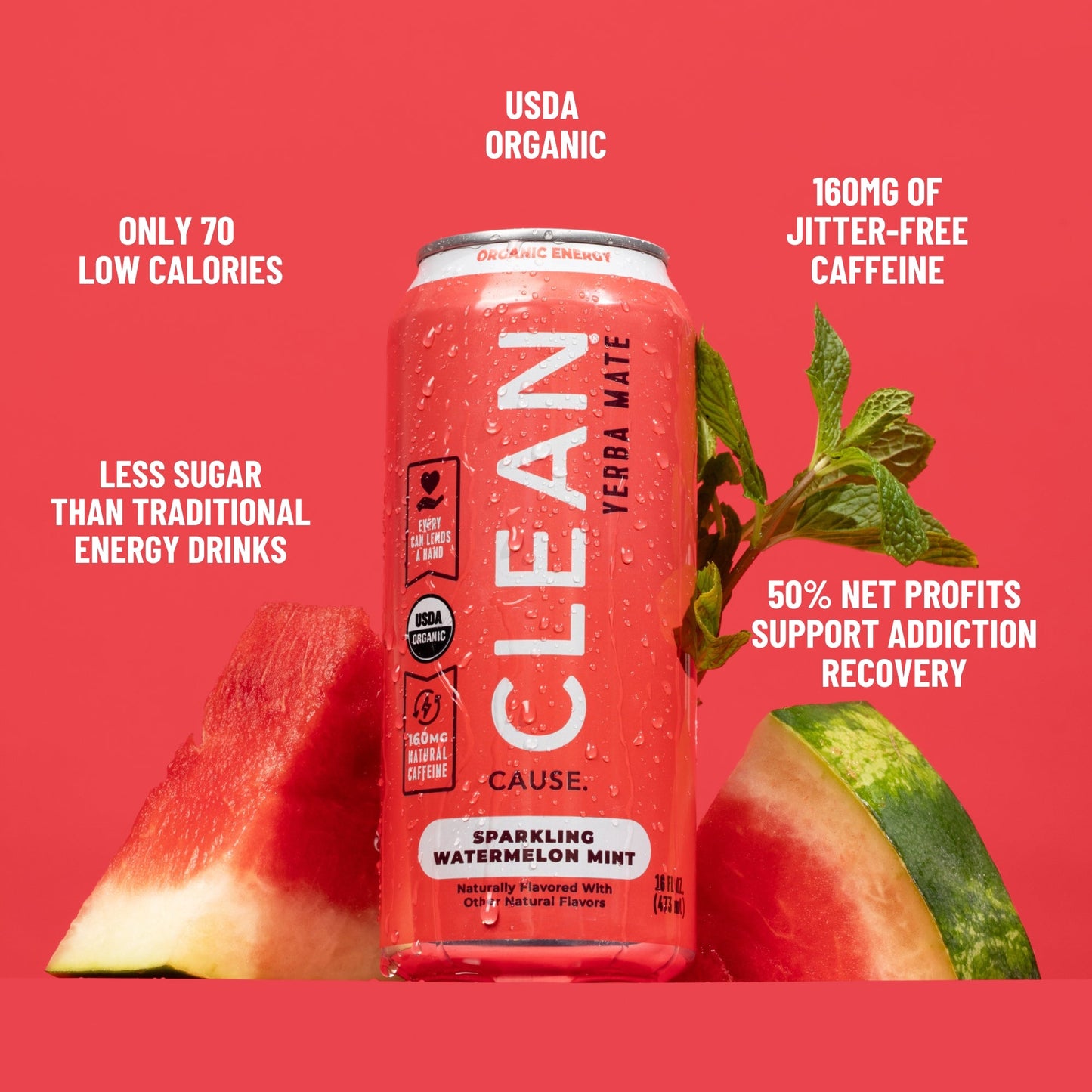 Watermelon Mint Organic Sparkling Yerba Mate - CLEAN Cause