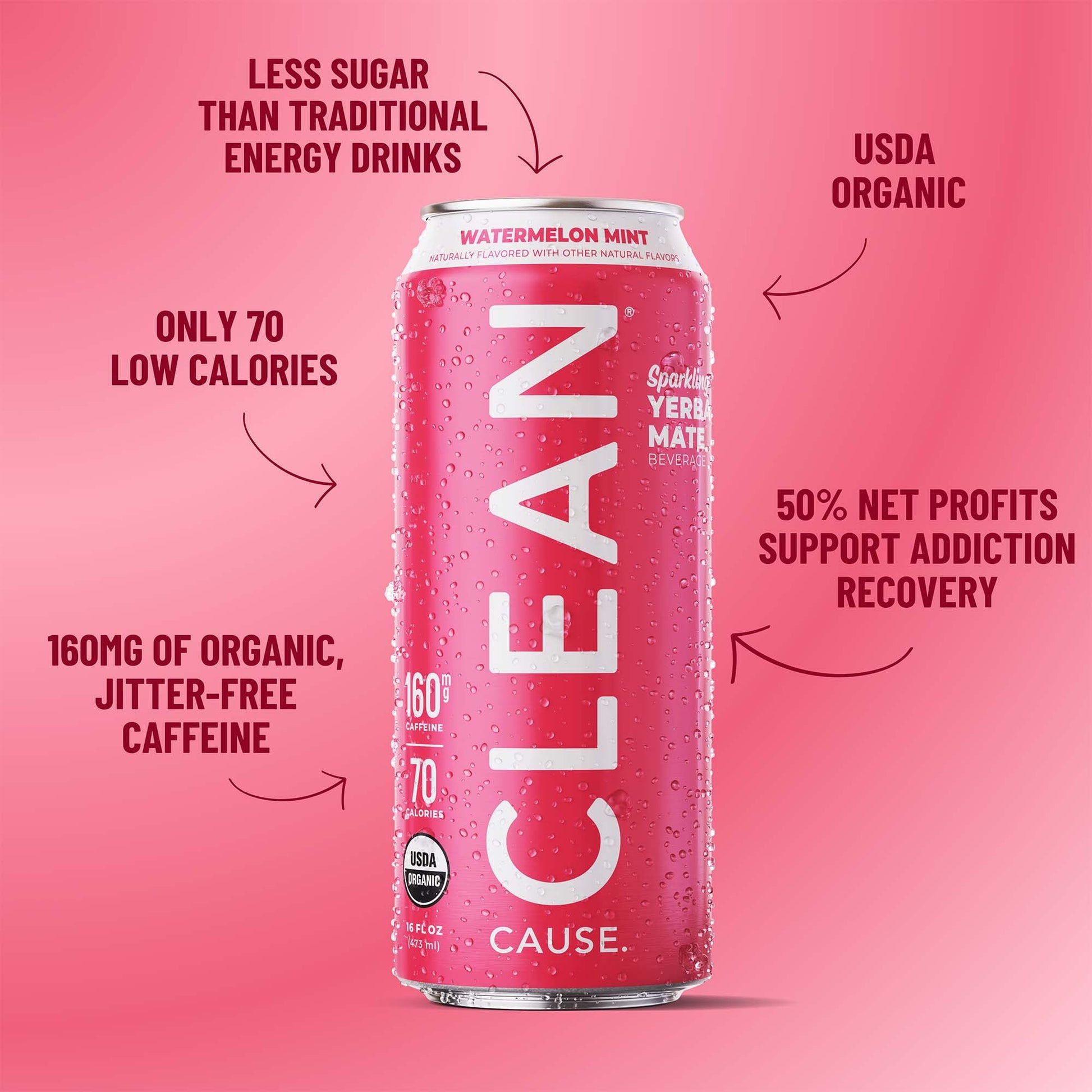 Watermelon Mint Organic Sparkling Yerba Mate - CLEAN CAUSE