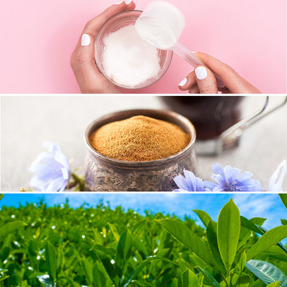 Three images stacked on top of one another. The first is someone scooping collagen out of a container, the second is a container of prebiotics (chicory), and the third is a field of yerba mate plants.